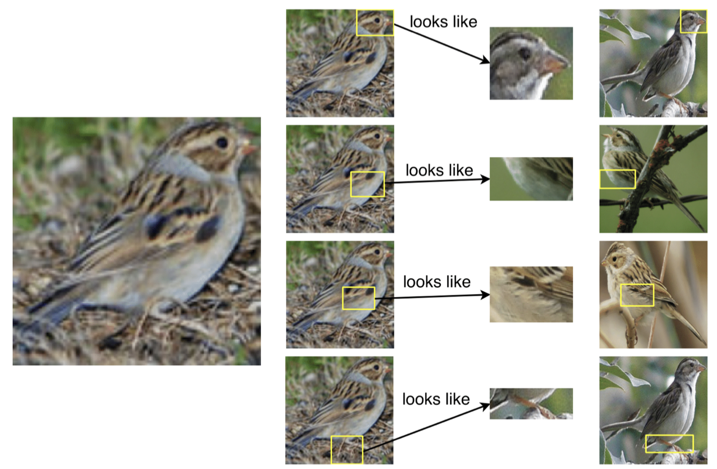 This Looks Like That: Classification Example